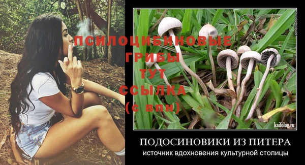 мяу мяу мука Няндома