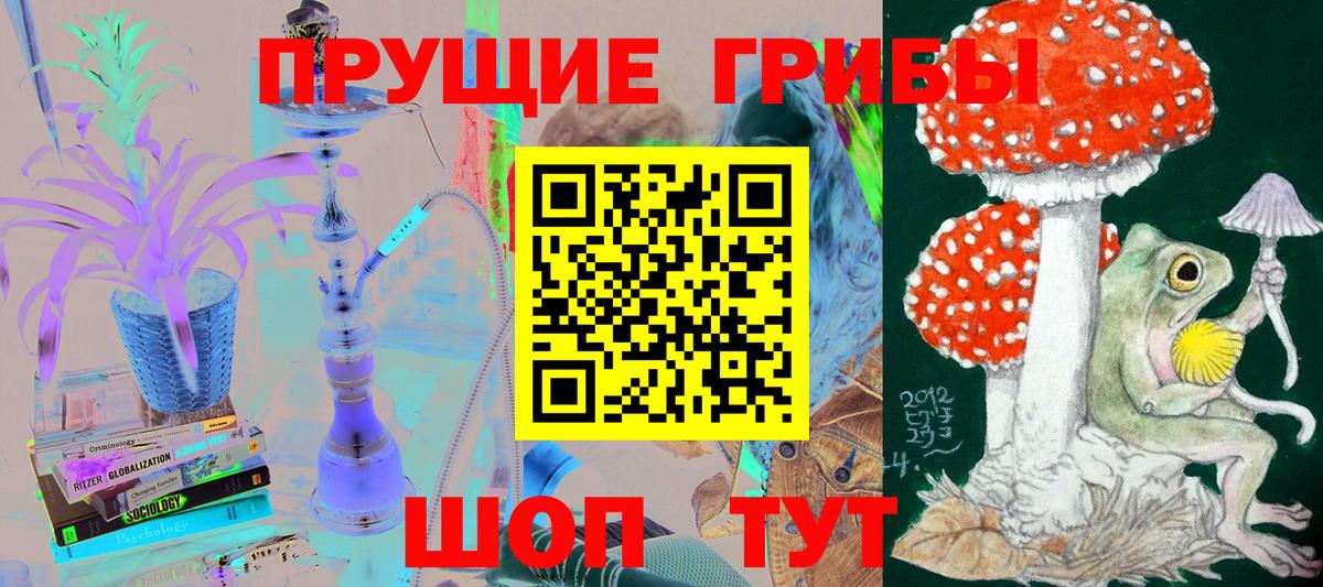 Галлюциногенные грибы мицелий  Вход с VPN  Куйбышев  Галлюциногенные грибы Psilocybe 
