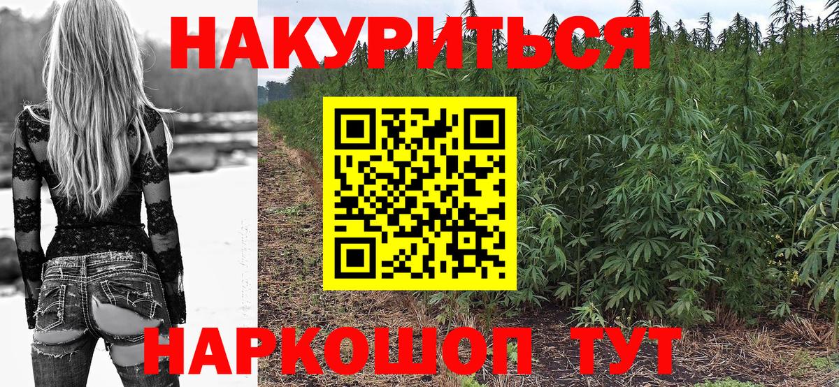 Бошки марихуана семена Куйбышев